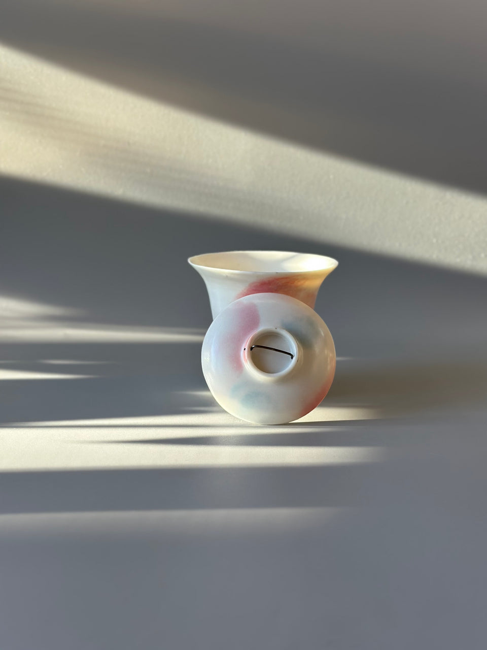Sakura Watercolor Gaiwan