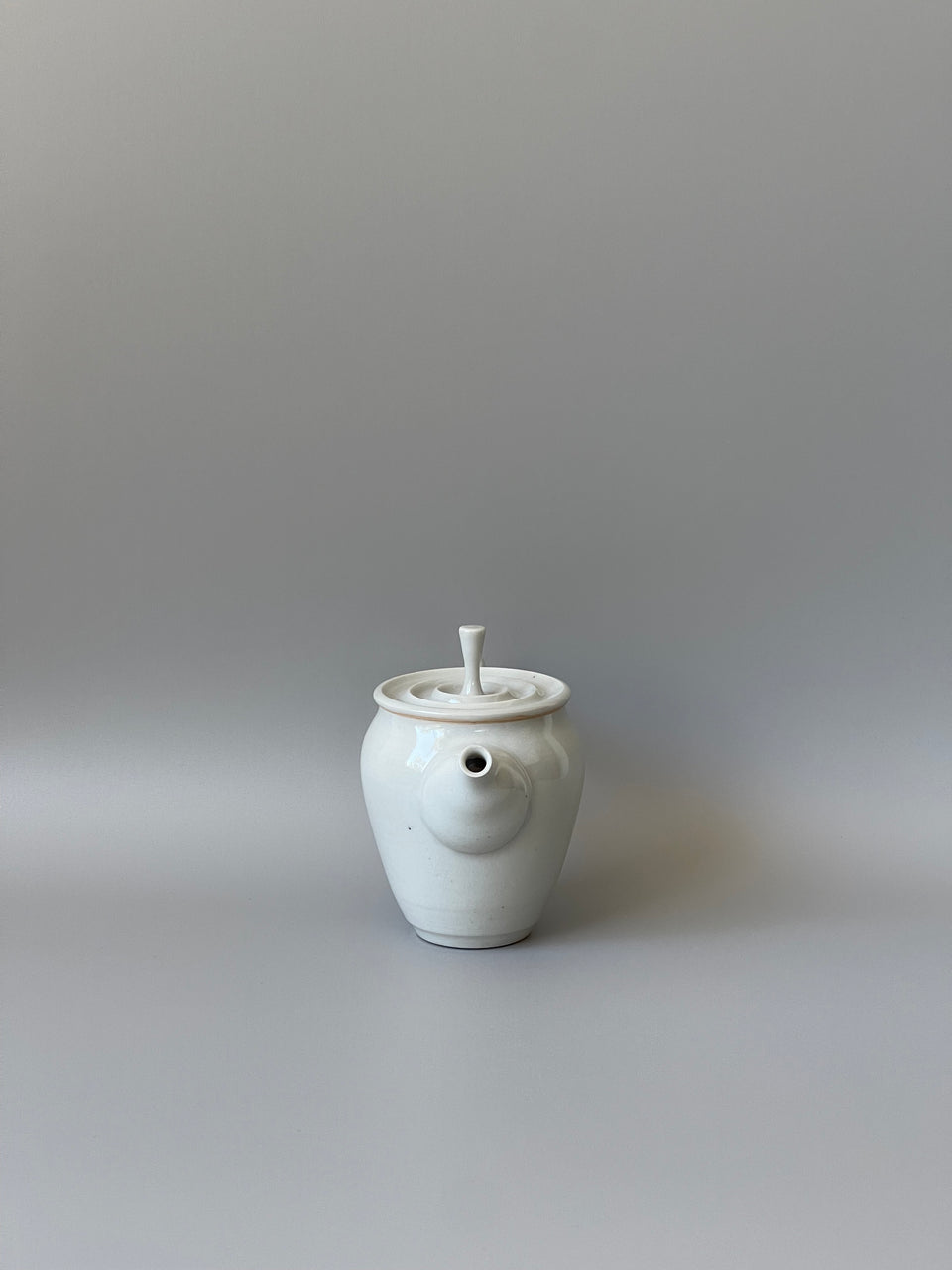 Light Grey Celadon Teapot (Gloss White) - 165 ml